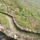 12- Le chemin et ses 80 lacets 